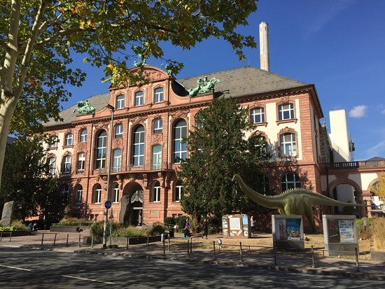 Senckenberg Museum